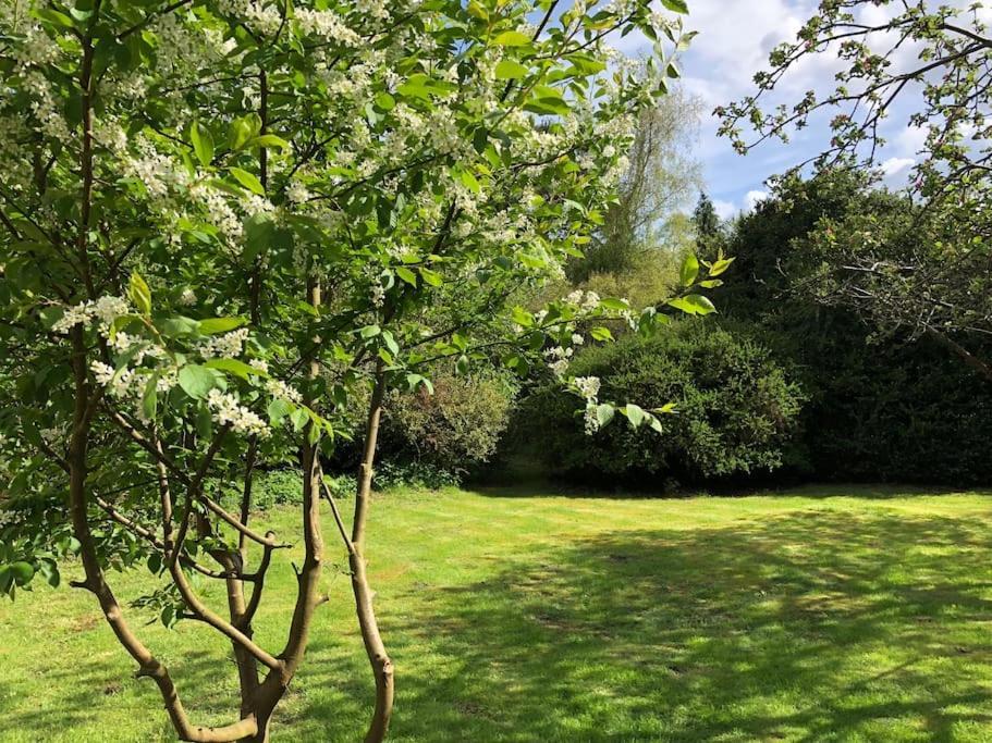 Forestry Cottage. Hot Tub, Open Fire, Dog Friendly Gaywood Exterior photo